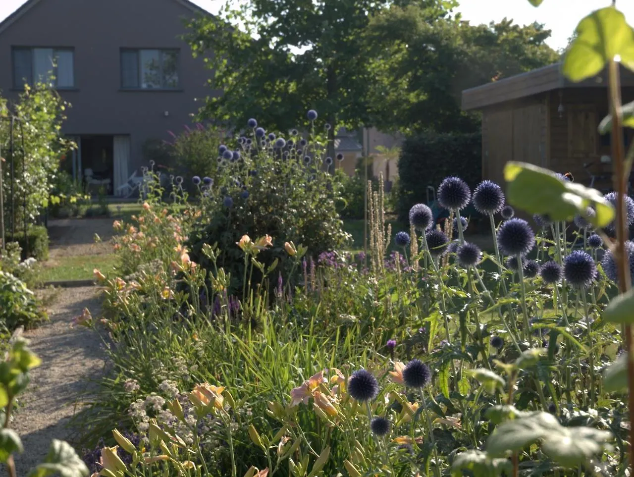 Barbara'S Bed & Breakfast Bed & Breakfast Sterrebeek Belgium