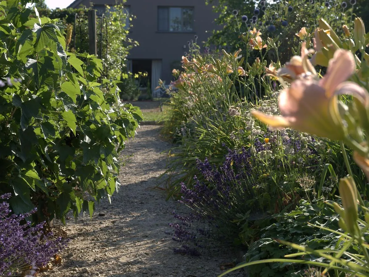 ****  Barbara'S Bed & Breakfast Bed & Breakfast Sterrebeek Belgium